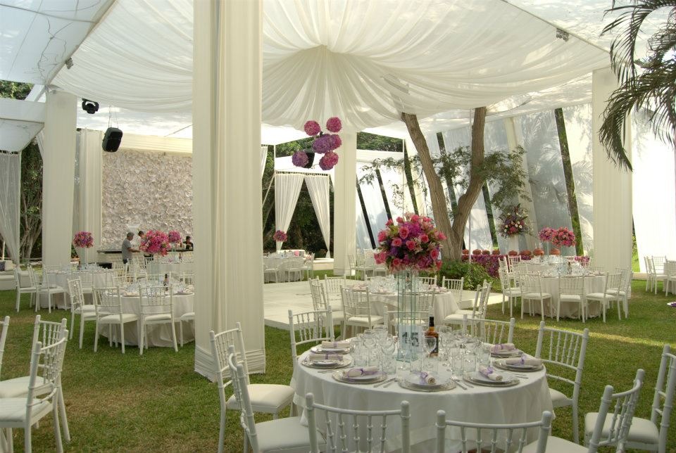Gallery-Image